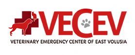 Emergency Vet Volusia